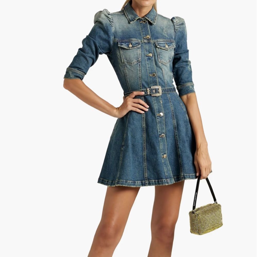 Retrofete Clara belted distressed denim mini dress